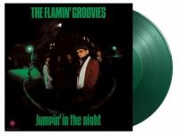 Flamin' Groovies - Jumpin' In the Night