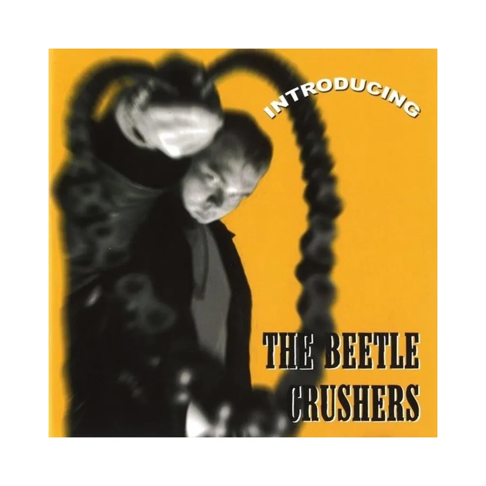Beetle Crushers: Introducing CD
